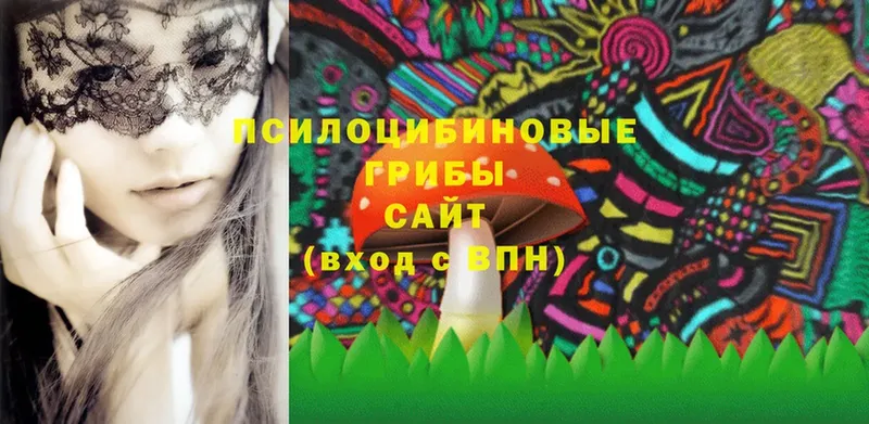 Галлюциногенные грибы Magic Shrooms  продажа наркотиков  Северодвинск 